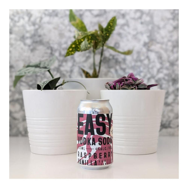 Snake Lake Brewing Company EASY Vodka Soda Raspberry Vanilla