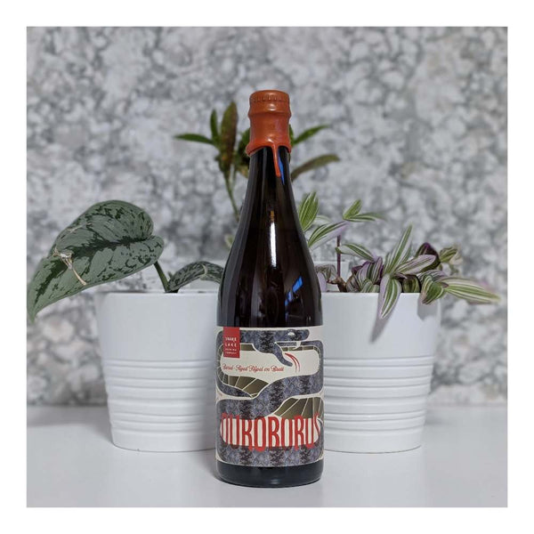 Snake Lake Brewing Company Ouroboros Barrel-Aged Tripel on Brett