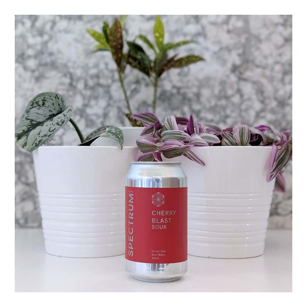 Spectrum Beer Company Cherry Blast Sour