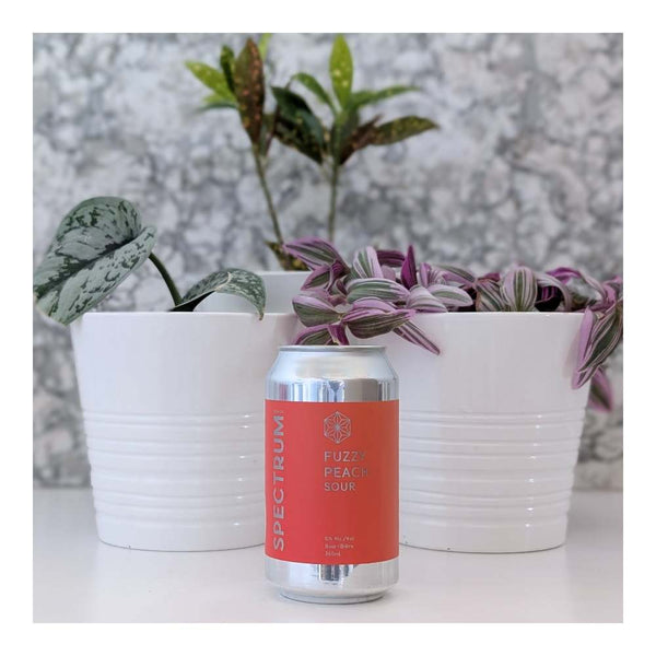 Spectrum Beer Company Fuzzy Peach Sour