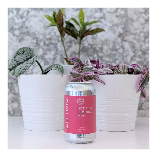 Spectrum Beer Company Hot Pink Lemonade Sour