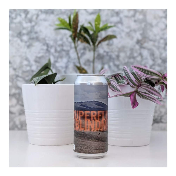Superflux Beer Company x Blindman Brewing Do Fun Shit With People You Like Vol. 2 Hazy IPA