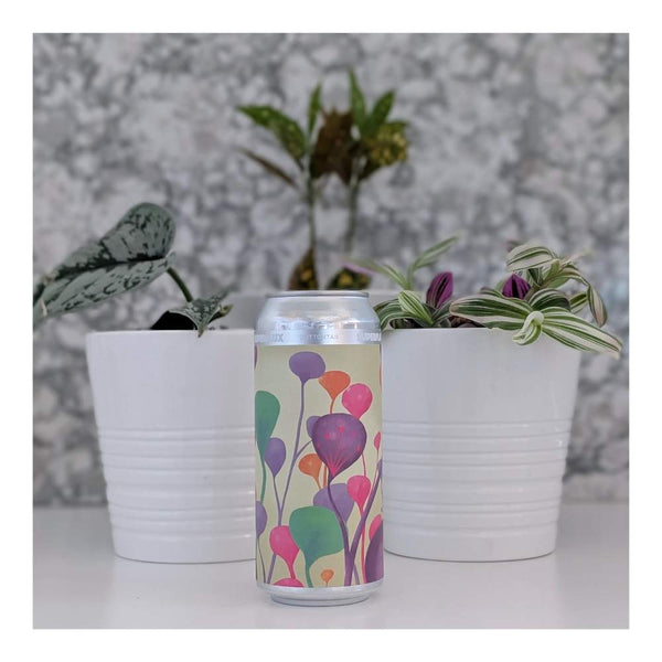 Superflux Beer Company Cottontail Hazy IPA