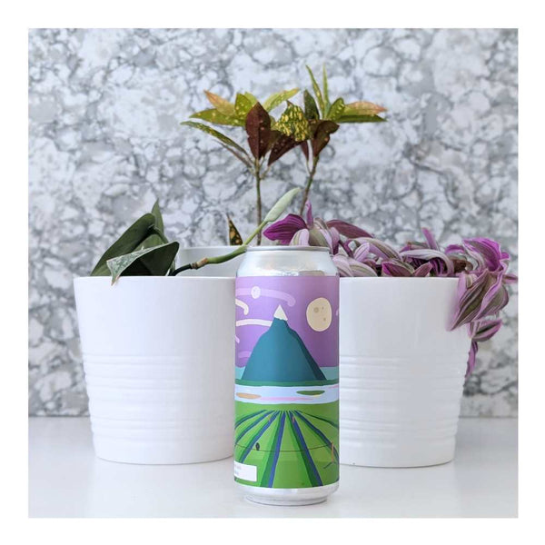 Superflux Beer Company x Garage Project Not As We Know It Hazy NZ IPA