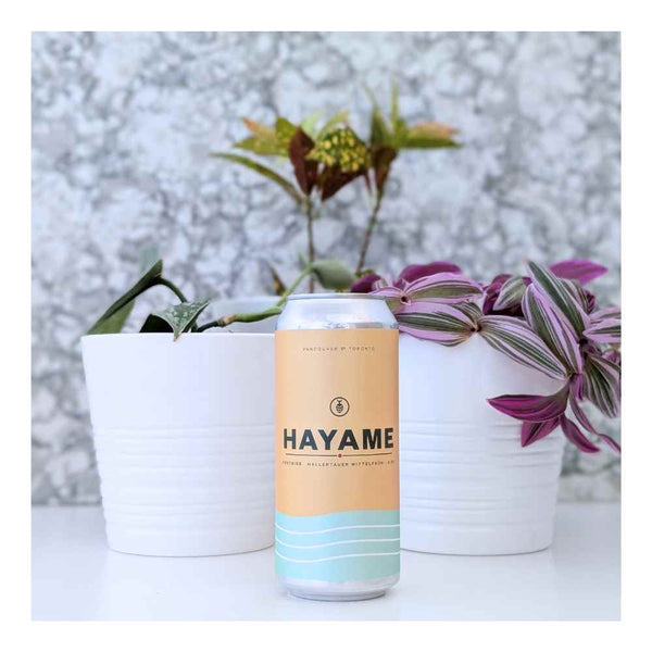 Superflux Beer Company x Godspeed Brewery Hayame Festbier
