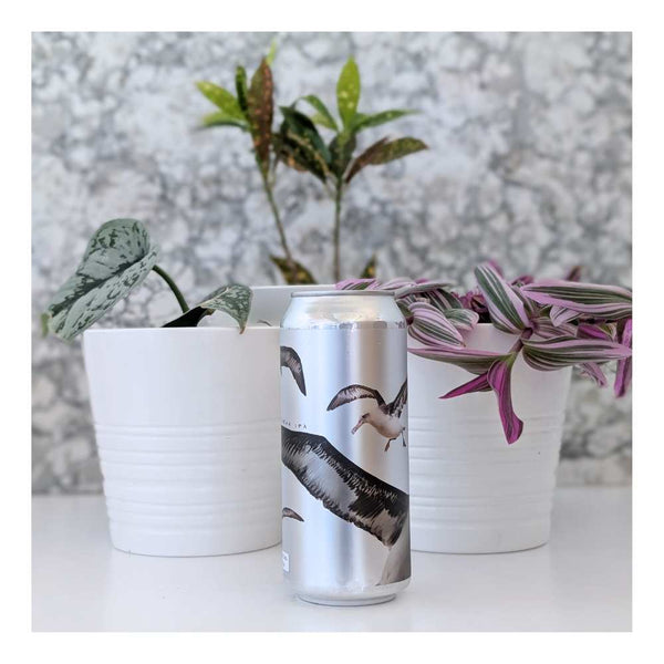 Superflux Beer Company Toroa Hazy IPA