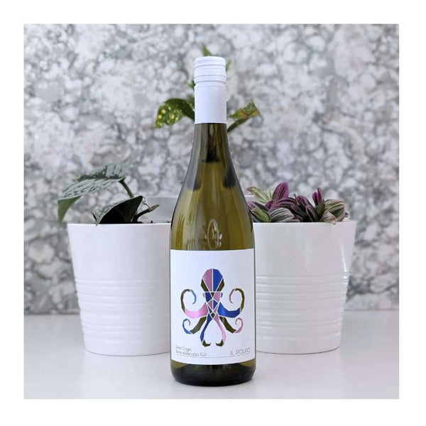 Talamonti Il Polpo Pinot Grigio White Wine