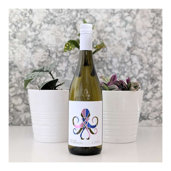Talamonti Il Polpo Pinot Grigio White Wine