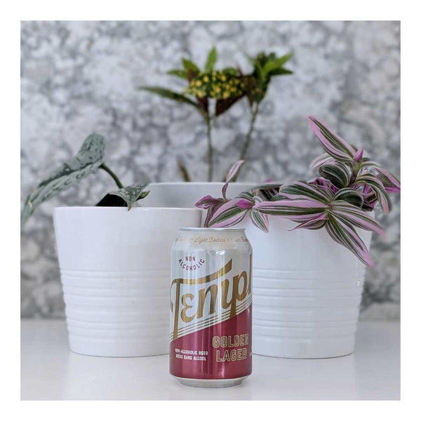 Templ Brewing Golden Lager Non-Alcoholic
