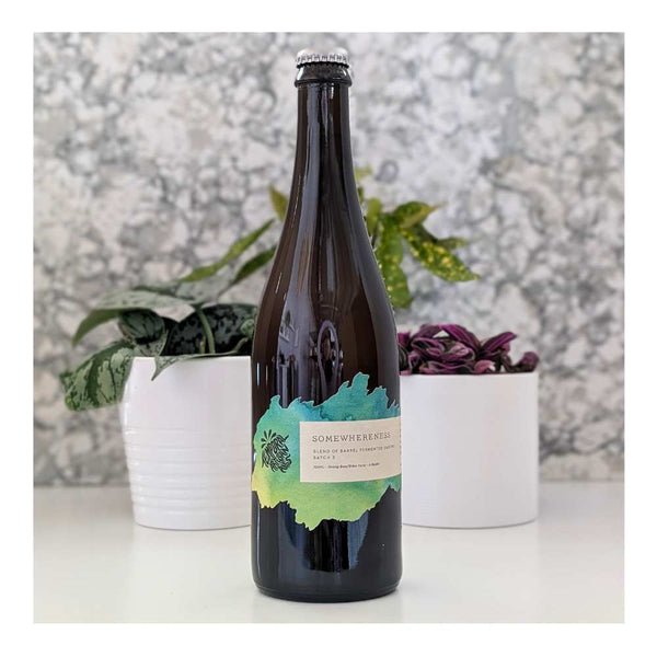 Temporal Artisan Ales Somewhereness Batch 3 Saison