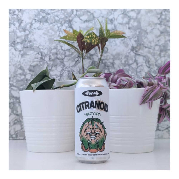 The Dandy Brewing Company Citranoid (2026) Hazy IPA