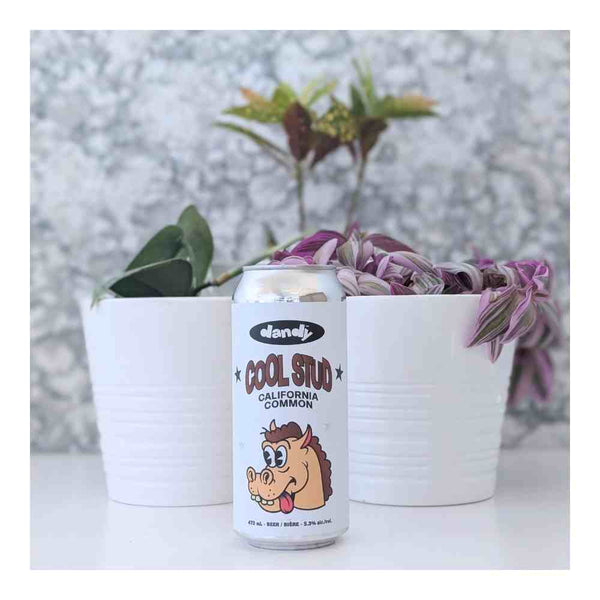 The Dandy Brewing Company Cool Stud California Common