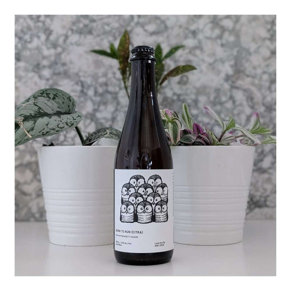 The Establishment Brewing Company Born To Run (Citra) Dry Hopped Brett Saison