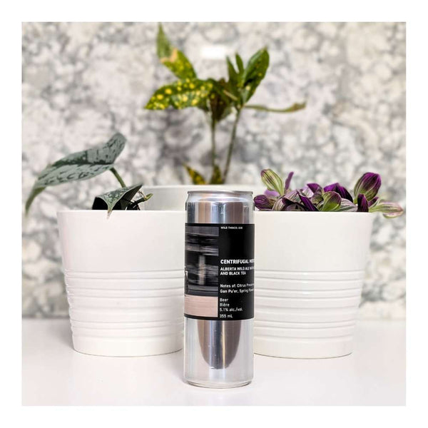 The Establishment Brewing Company Centrifugal Motion Alberta Wild Ale with Oranges and Black Tea