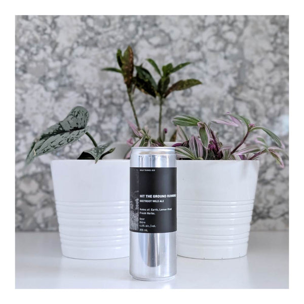 The Establishment Brewing Company Hit The Ground Running Beetroot Wild Ale