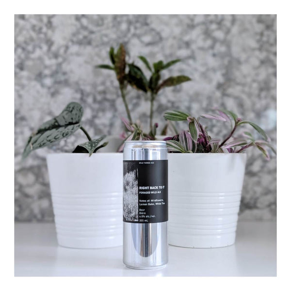 The Establishment Brewing Company Right Back To It Foraged Wild Ale