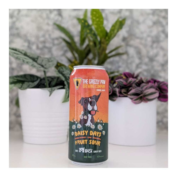 The Grizzly Paw Brewing Company Daisy Days Fruit Sour