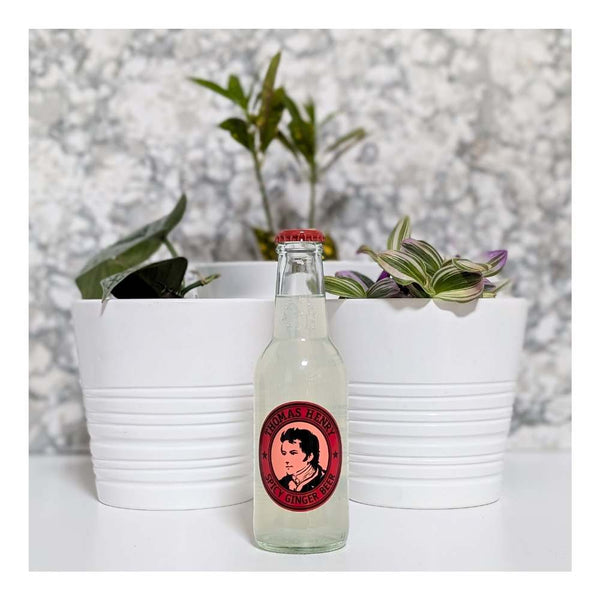 Thomas Henry Spicy Ginger Beer Non-Alcoholic