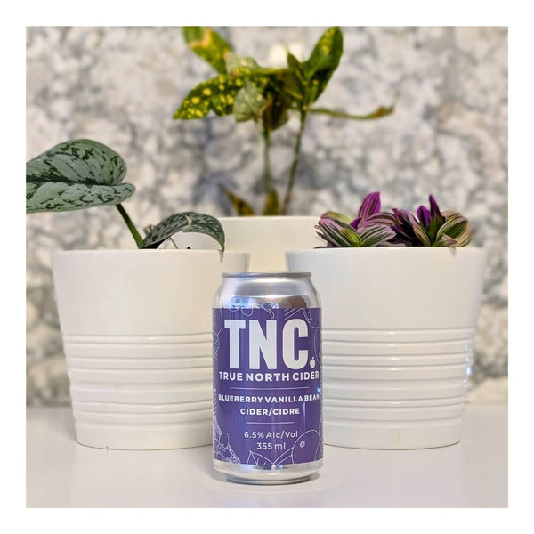 True North Cider Blueberry Vanilla Bean Cider