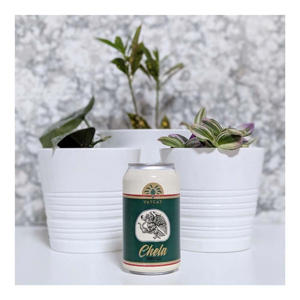 Vaycay Brew Co. Chela Mexican Cerveza