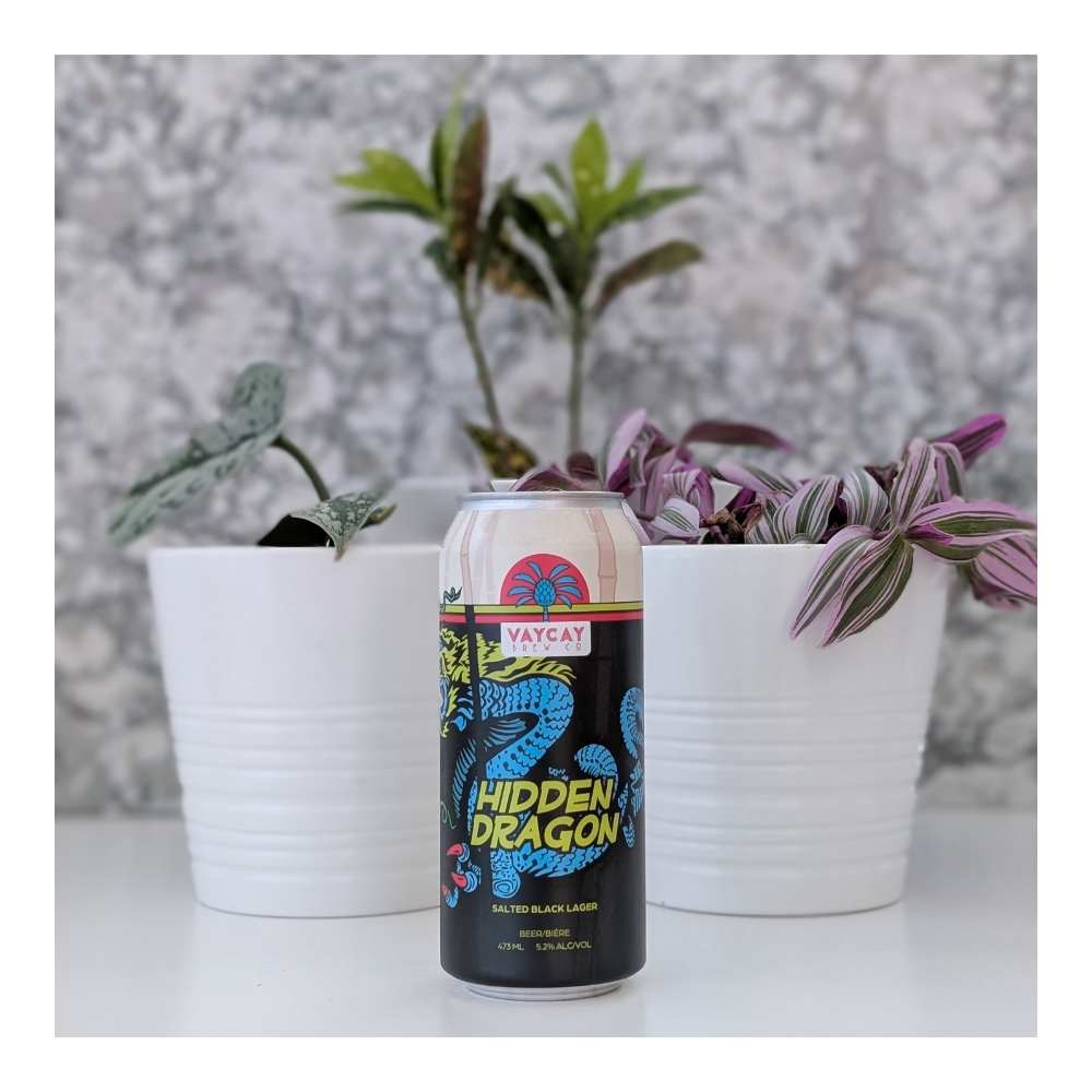 Vaycay Brew Co. Hidden Dragon Salted Dark Lager – Collective - A