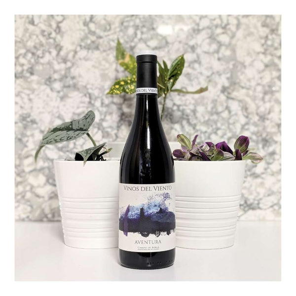 Vinos del Viento - Michael Cooper Aventura Red Wine