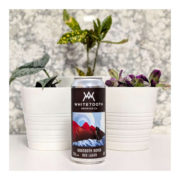 Whitetooth Brewing Co. Dogtooth Rover Red Lager