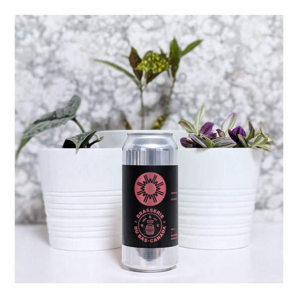 WILLS x Brasserie Du Bas Outaouais Hazy DIPA